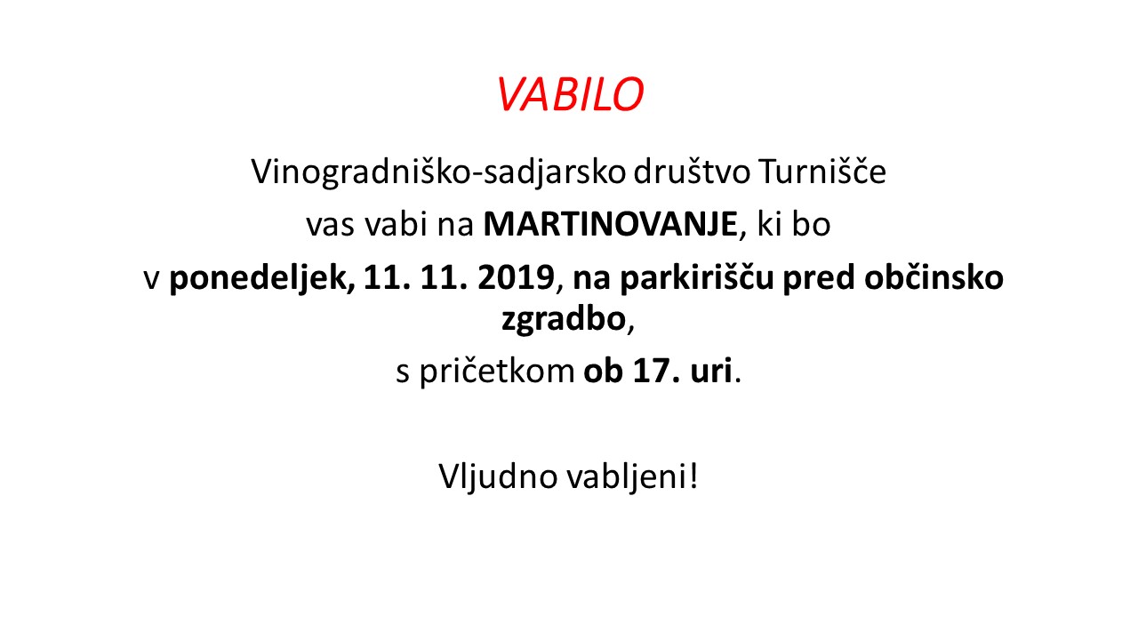 VABILO VSD Turni&amp;amp;amp;amp;amp;scaron;če- MARTINOVANJE.jpg